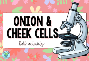Onion & Cheek Cell Microscope Lab