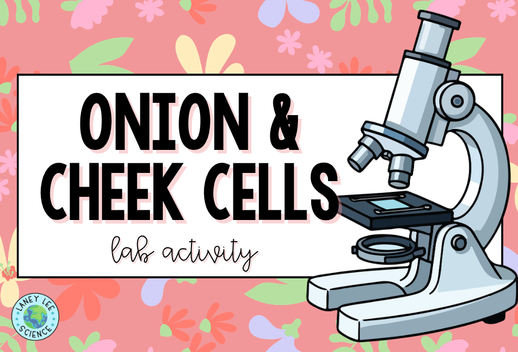 Onion & Cheek Cell Microscope Lab