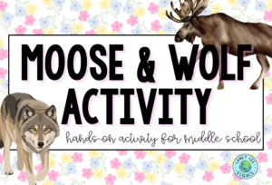Wolves and Moose Simulation Lab