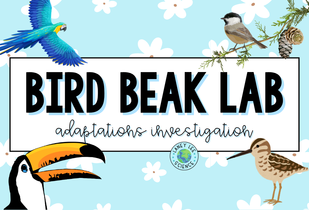 bird beak lab natural selection and adaptations