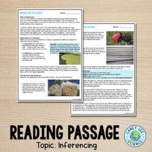 inferencing worksheet