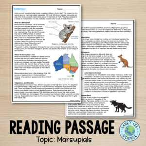 marsupials worksheet
