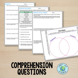 marsupials worksheet