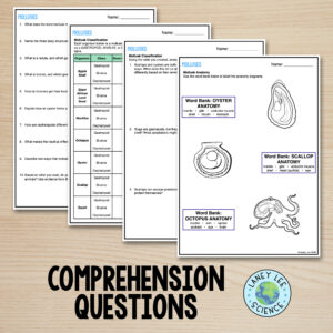 mollusks worksheet
