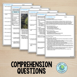 phosphorus cycle worksheets