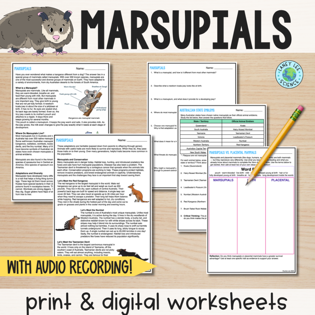 marsupials worksheet