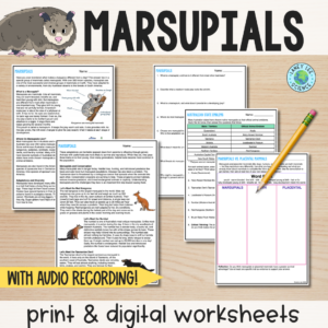 marsupials worksheet