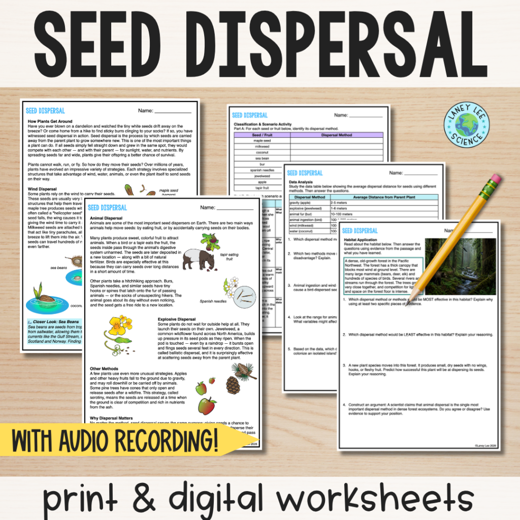 seed dispersal worksheets