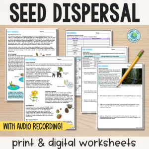 seed dispersal worksheets