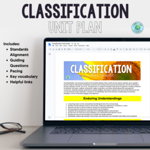 classification unit plan