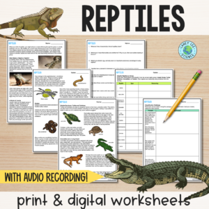 Reptiles - Reading Comprehension Worksheets