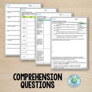 reptiles worksheet