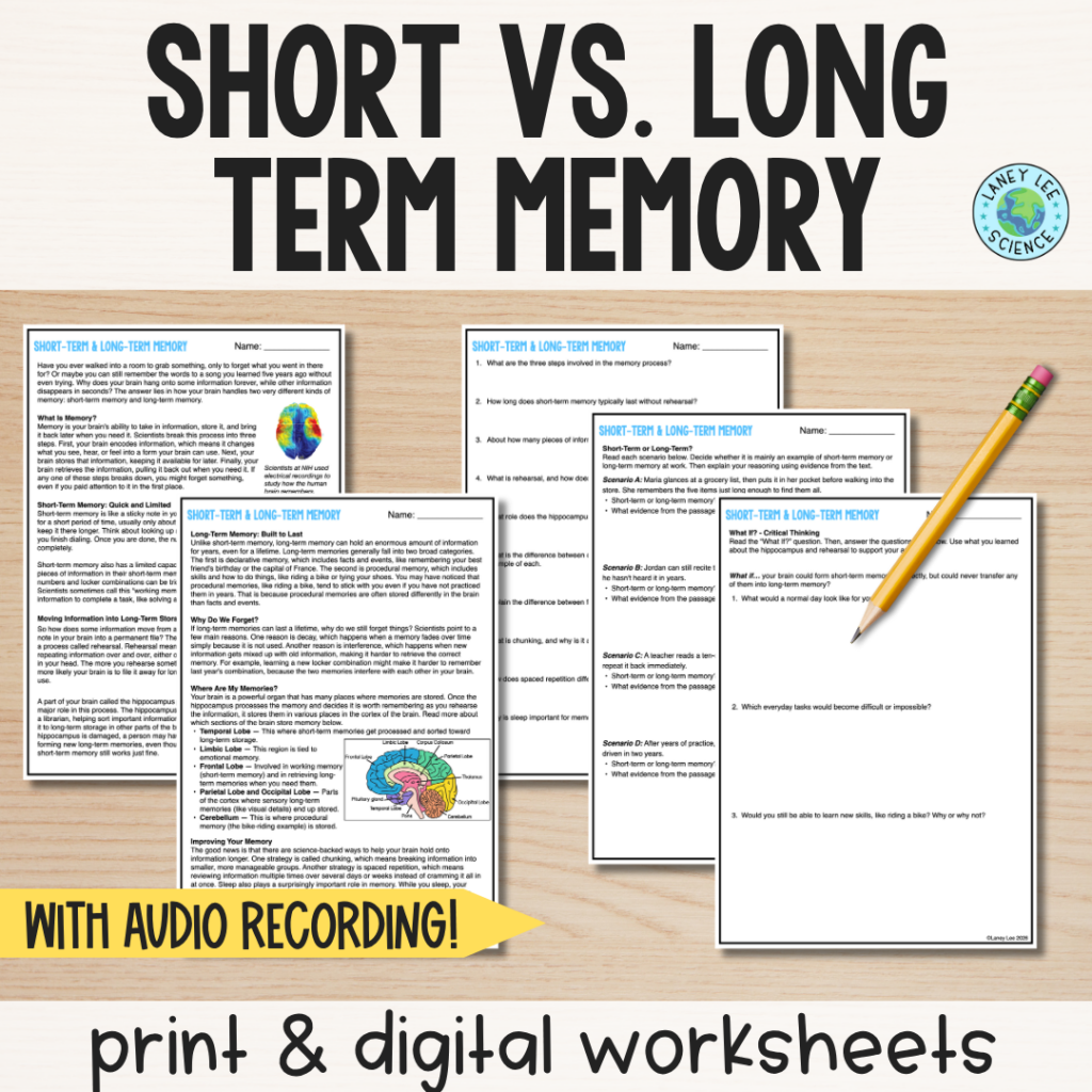short vs. long term memory