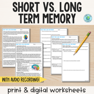 short vs. long term memory