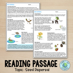 seed dispersal worksheets