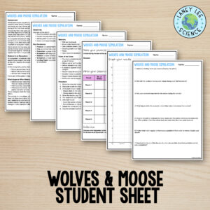 wolf moose activity
