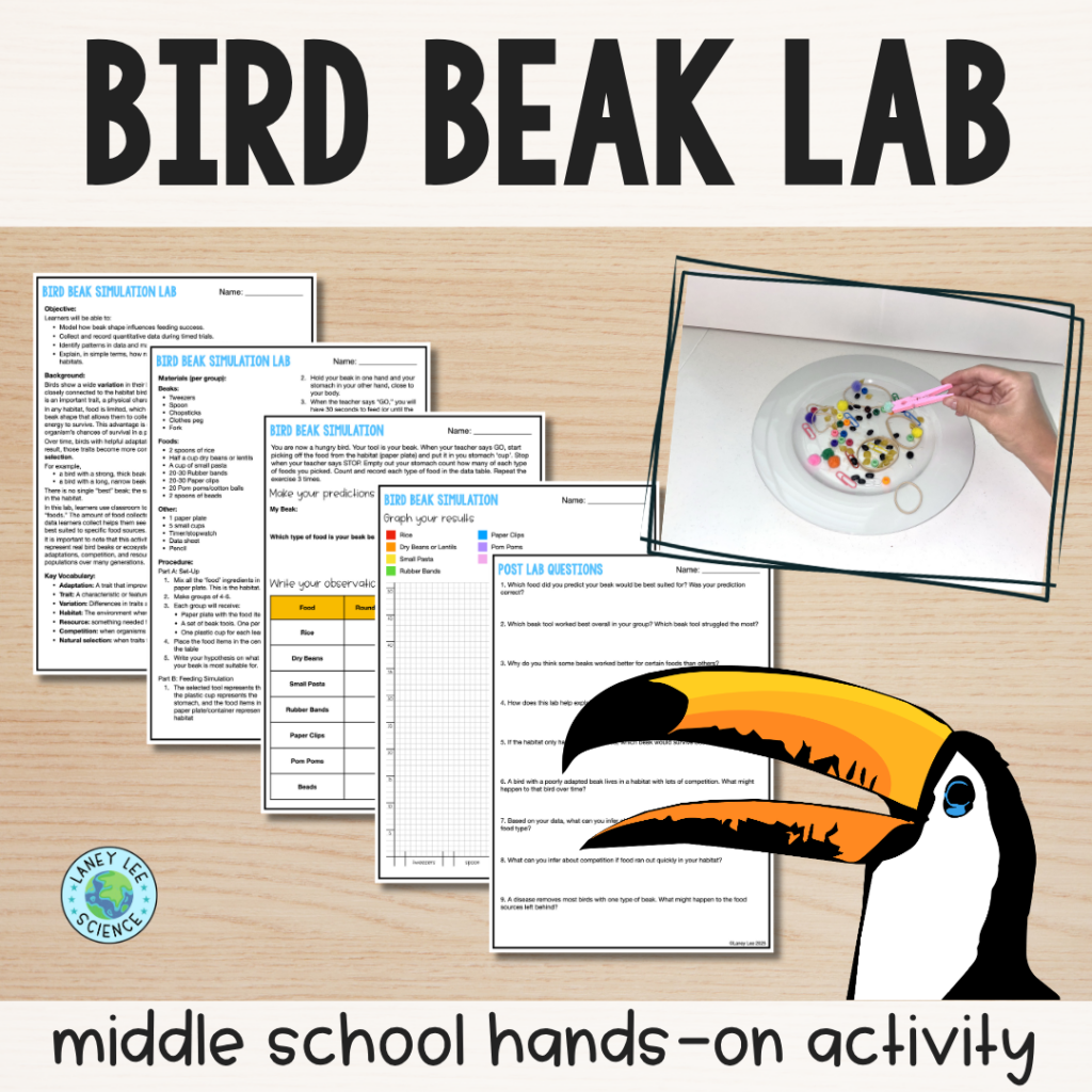 bird beak lab