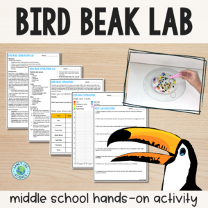 bird beak lab