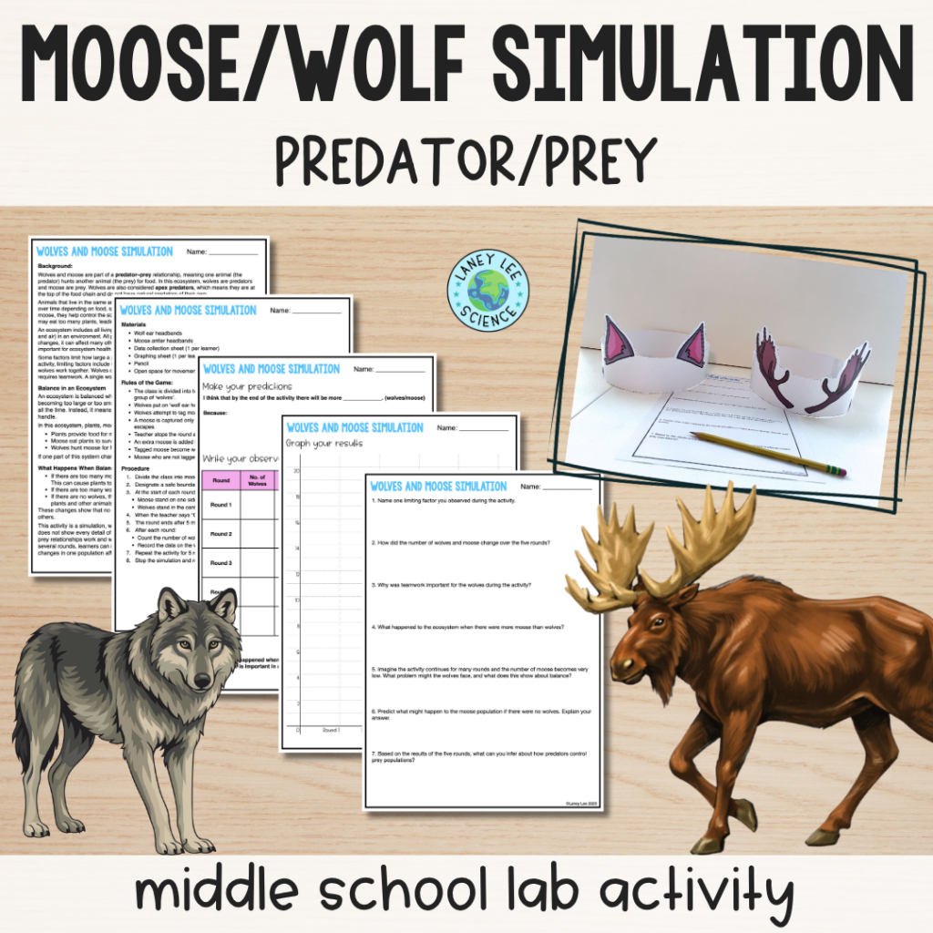 wolf moose activity