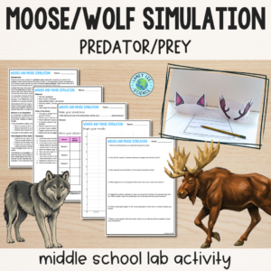 wolf moose activity
