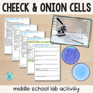 onion cheek cell lab