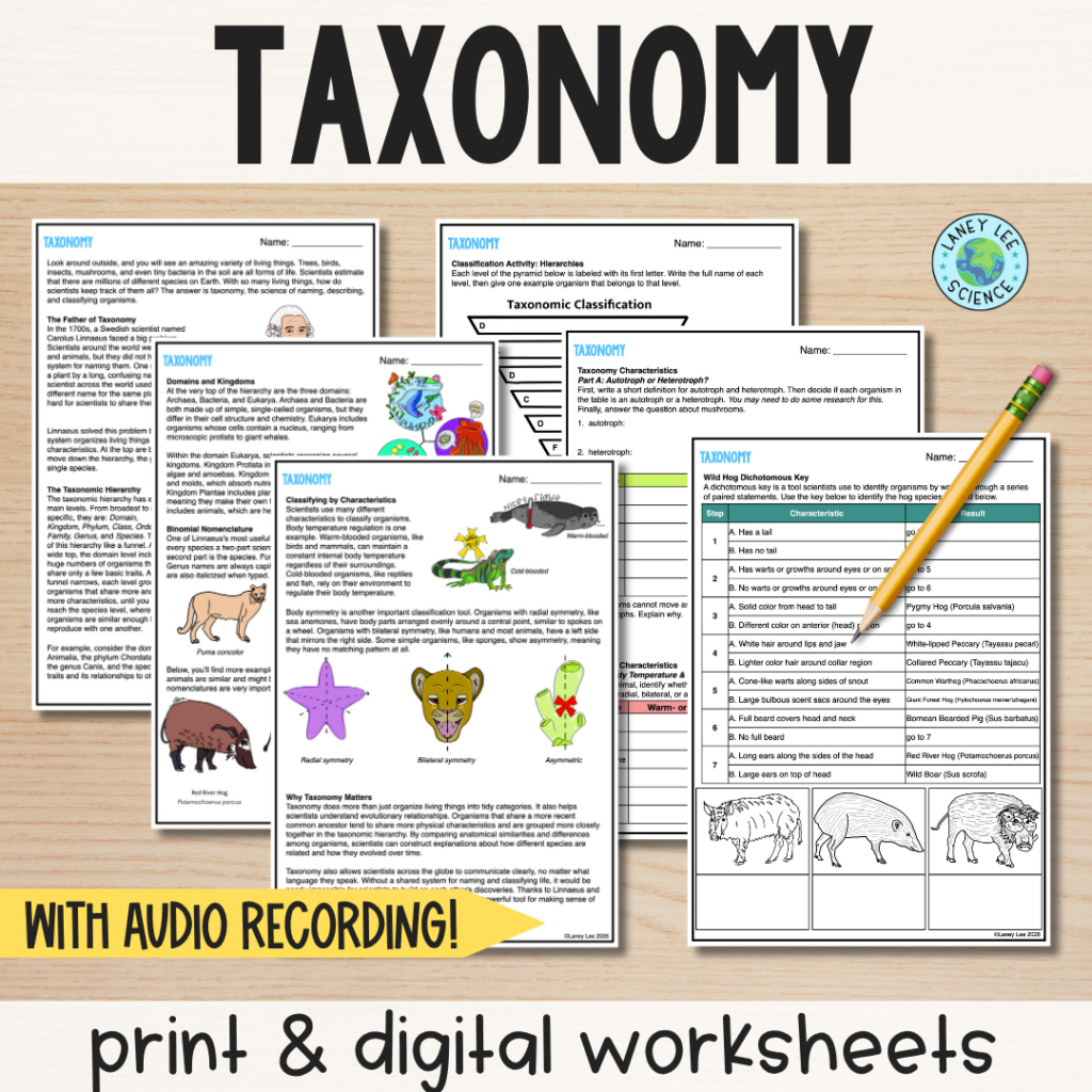 taxonomy worksheets