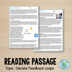 climate feedback loops worksheets