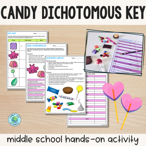 Candy Dichotomous Key